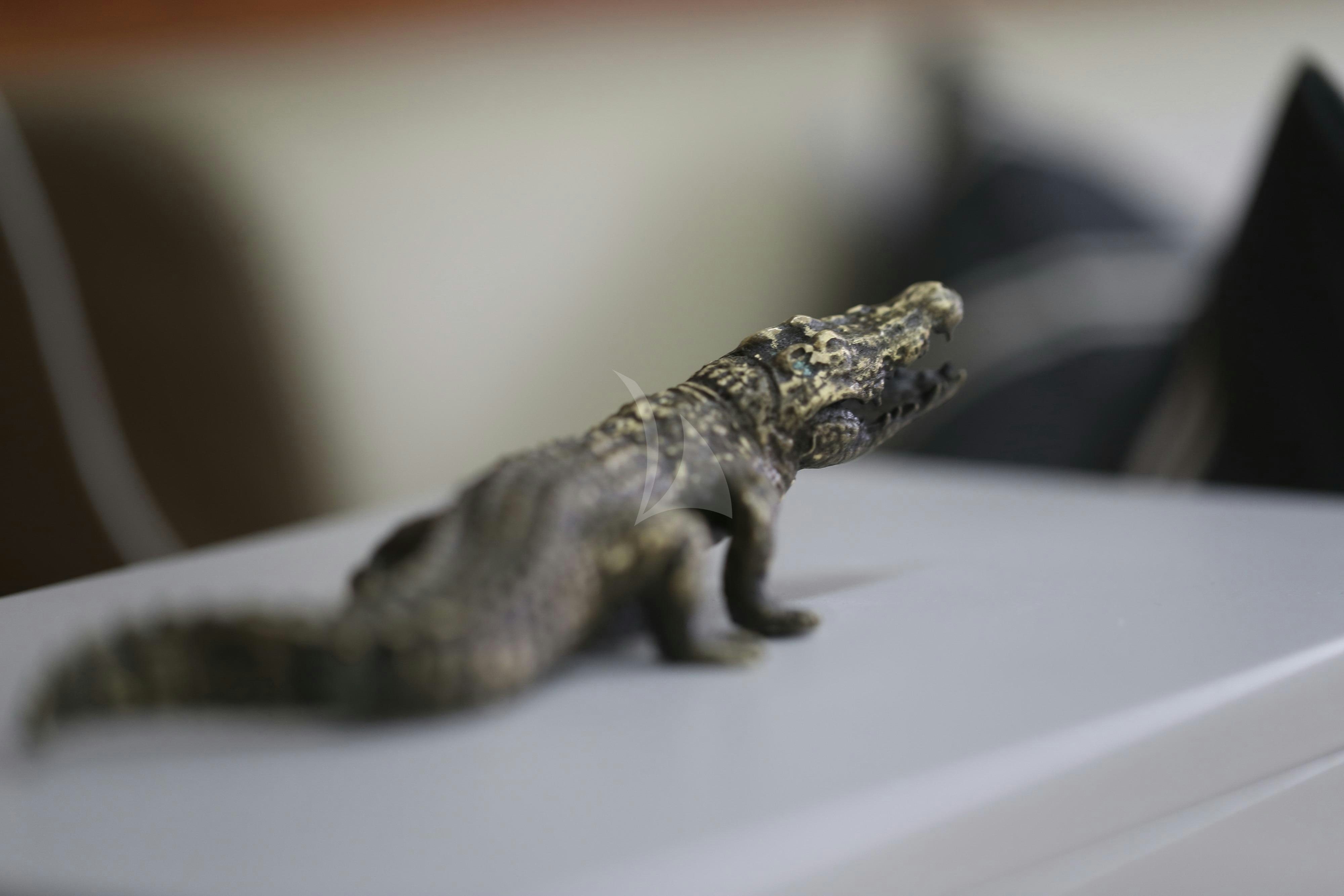 a lizard on a surface aboard MUSIC Yacht for Charter