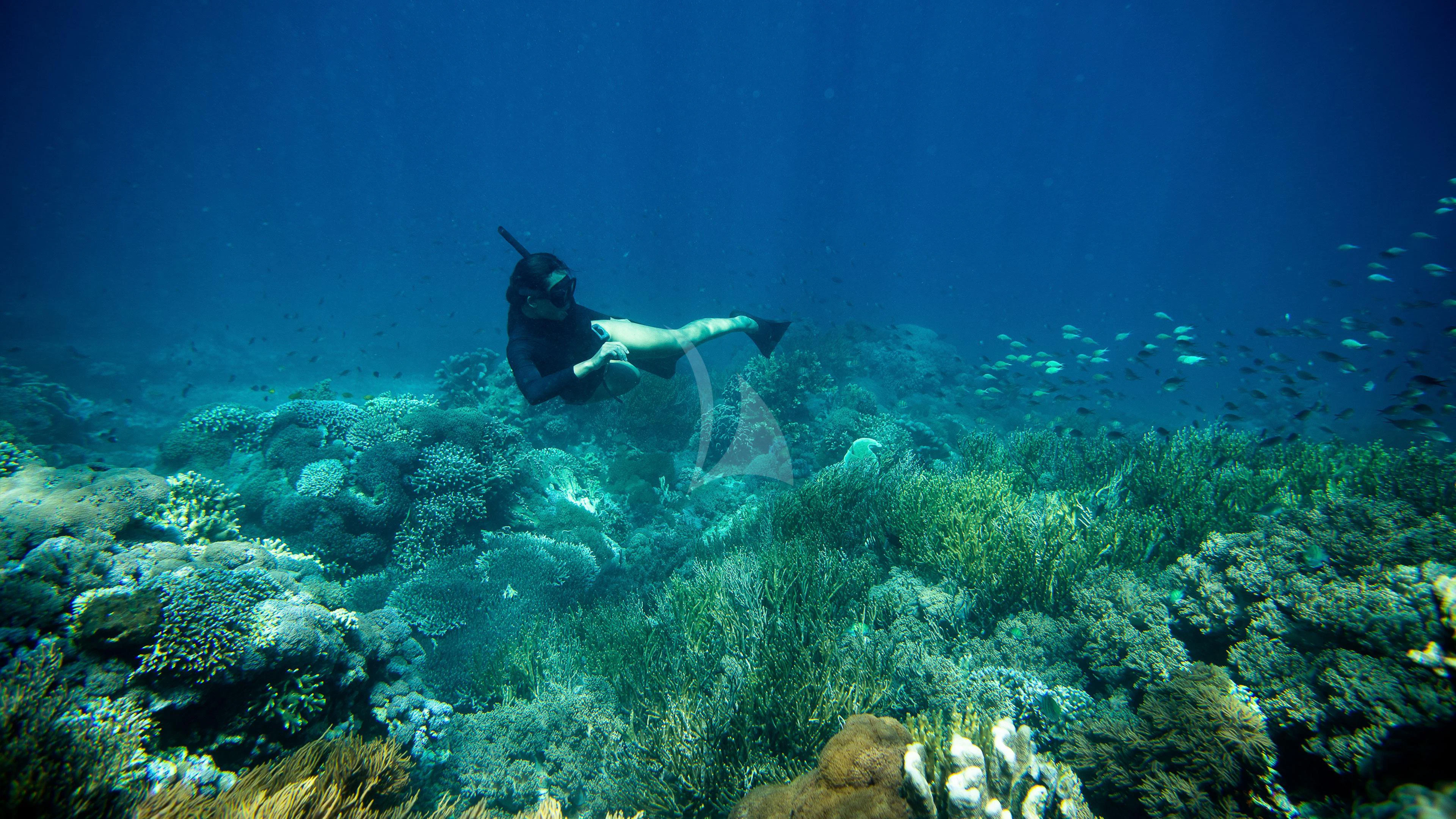 a person swimming in a sea aboard DUNIA BARU Yacht for Charter