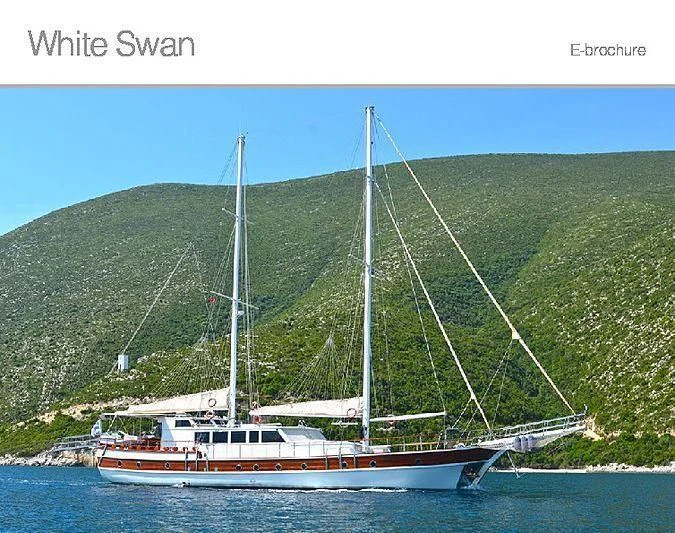 a boat on the water aboard WHITE SWAN Yacht for Sale