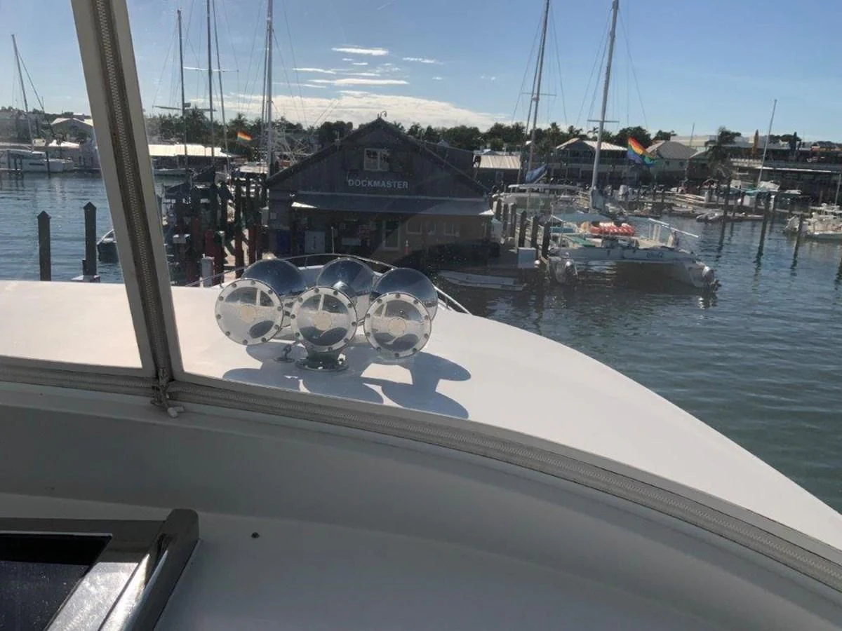 a group of seagulls on a boat aboard LADY GRACE Yacht for Sale