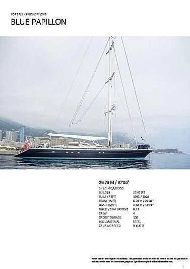 a boat in the water aboard BLUE PAPILLON Yacht for Sale