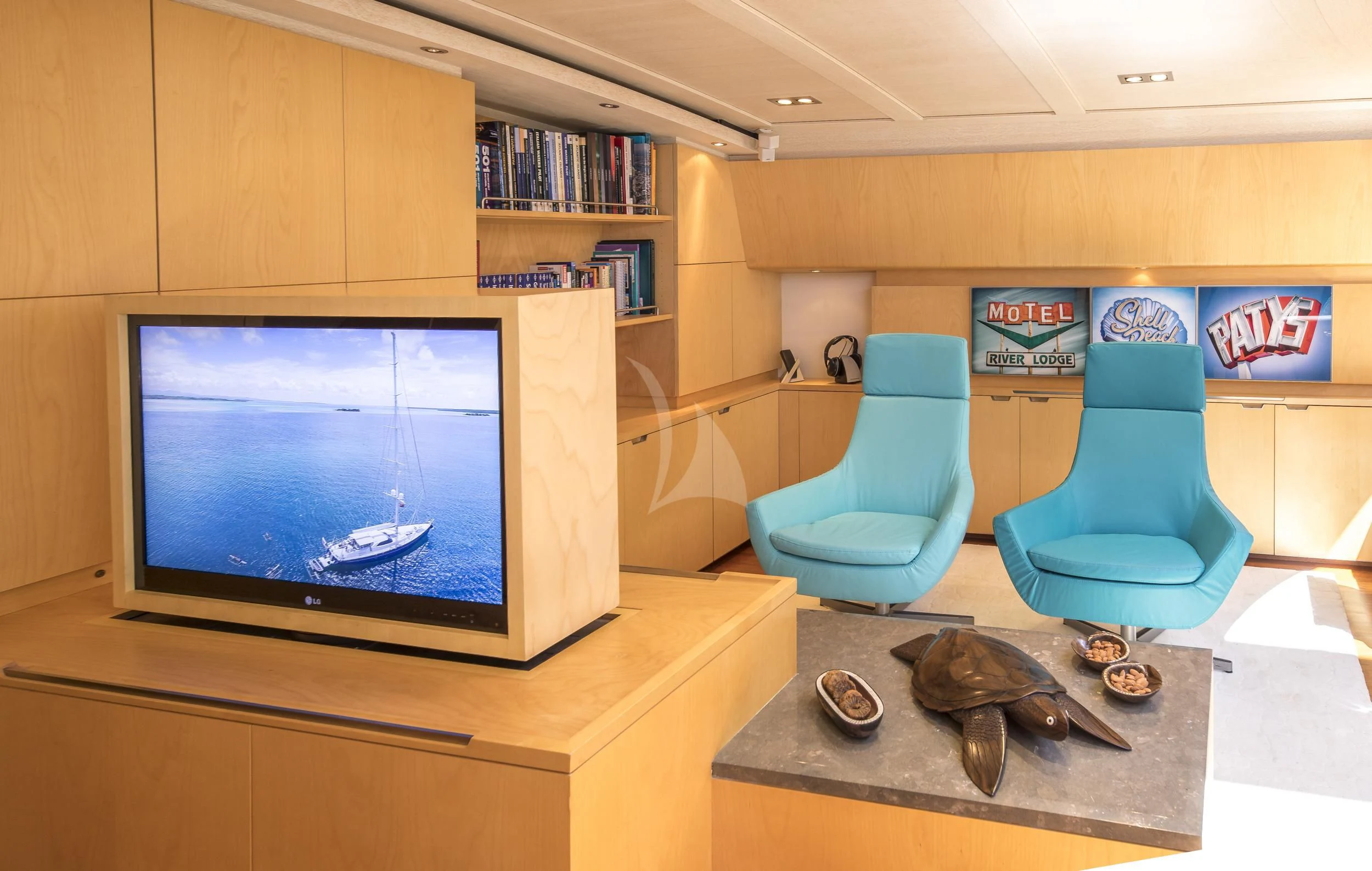 a turtle on a mat in a room with a television and a chair aboard GUILLEMOT Yacht for Sale