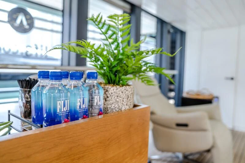 a plant in a pot on a table aboard OCEAN SAPPHIRE Yacht for Sale