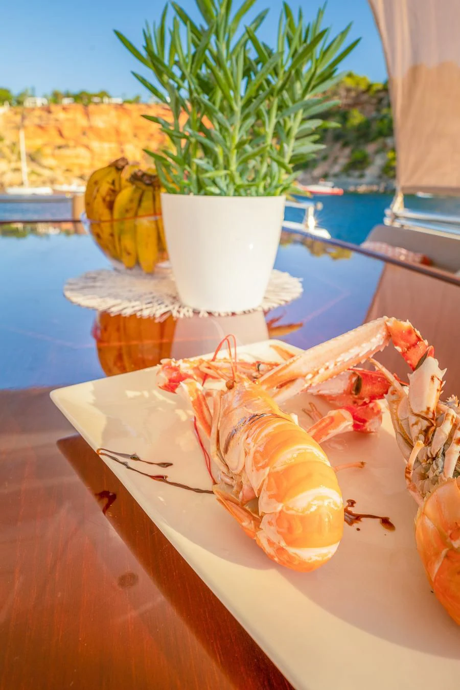 a plate of food next to a plant and a potted plant aboard NEPHENTA PRIMERO Yacht for Sale