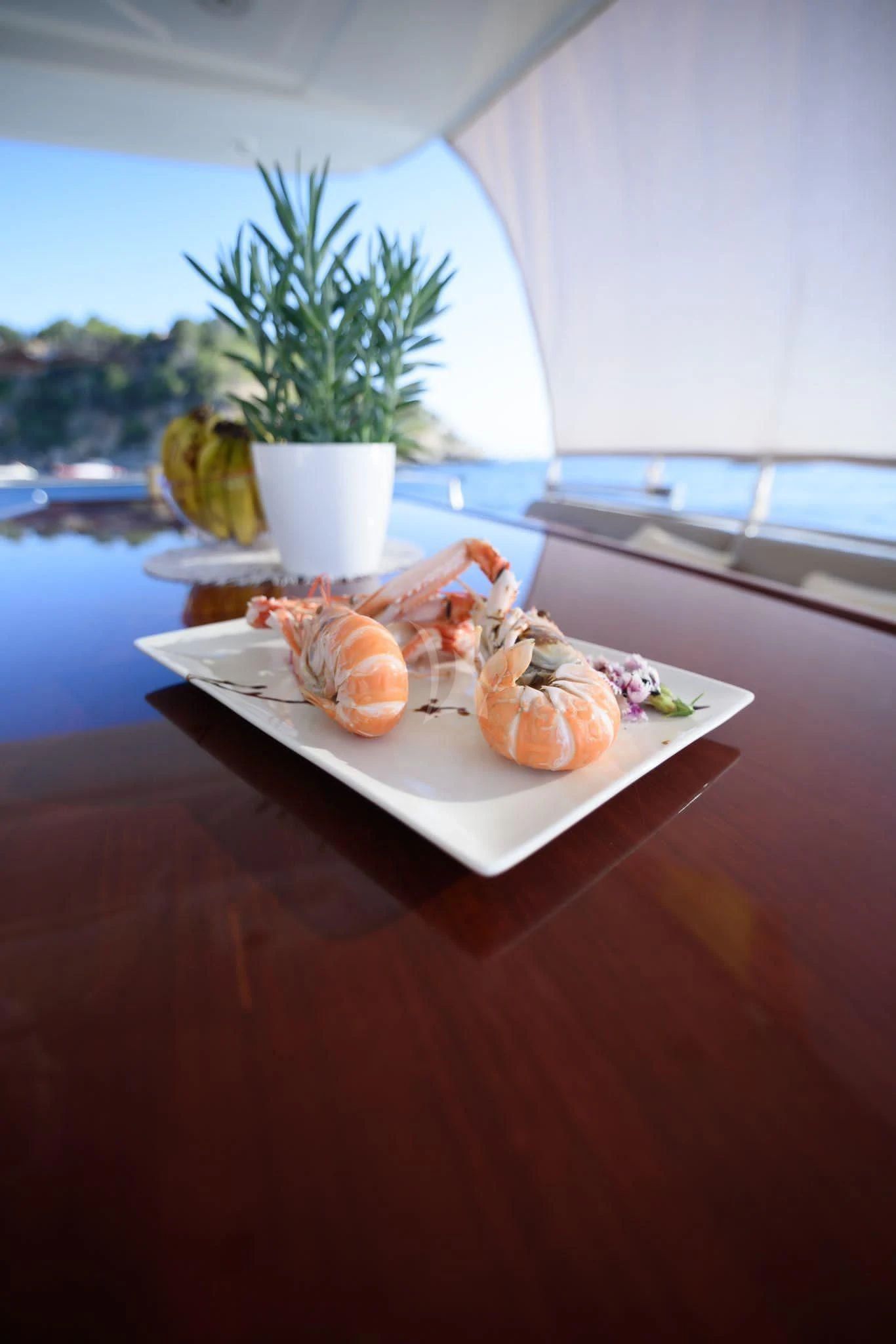 a couple of plates with food on them by a window with a body of water in the background aboard NEPHENTA PRIMERO Yacht for Sale