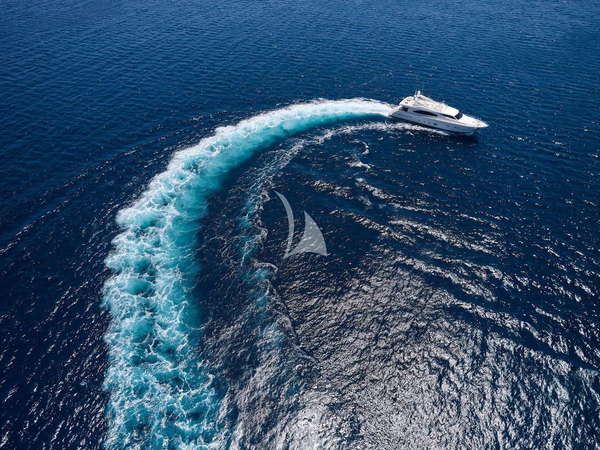 a whale in the water aboard ESTIA YI Yacht for Sale
