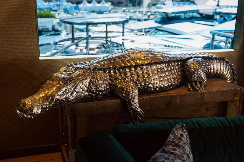 a lizard on a table aboard PINK SHADOW Yacht for Sale