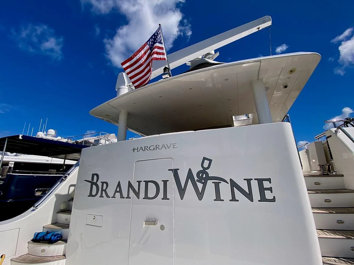 a submarine with a flag on the front aboard BRANDI WINE Yacht for Charter