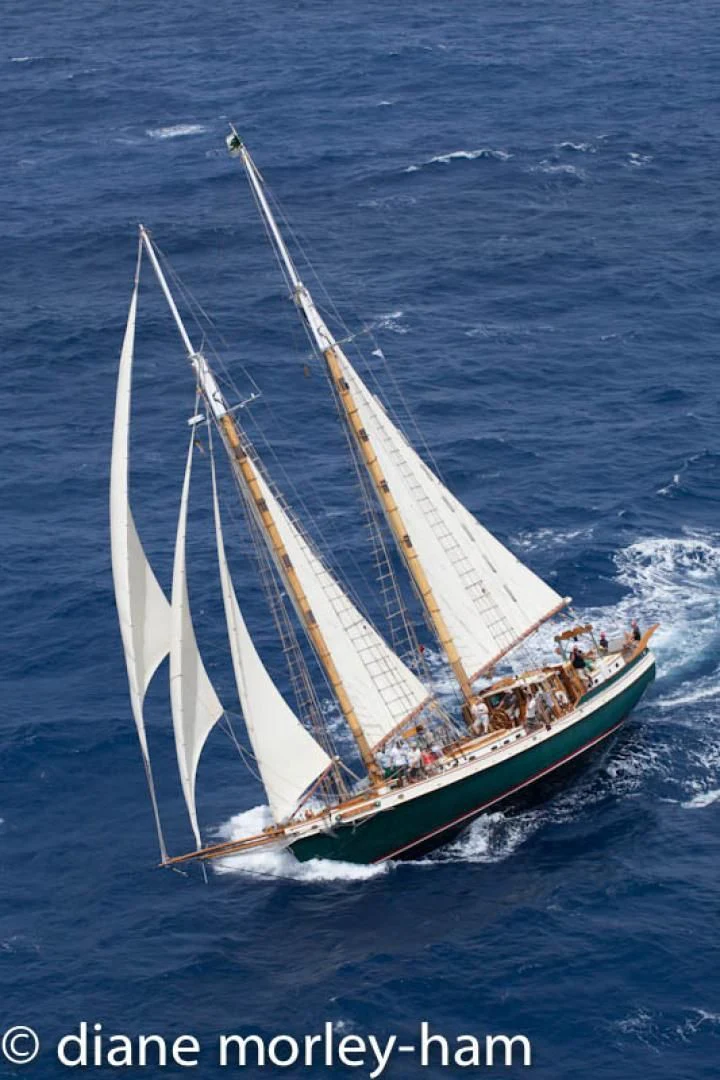 a boat with people on it aboard TREE OF LIFE Yacht for Sale