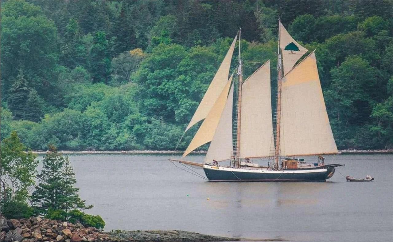 a sailboat on the water aboard TREE OF LIFE Yacht for Sale