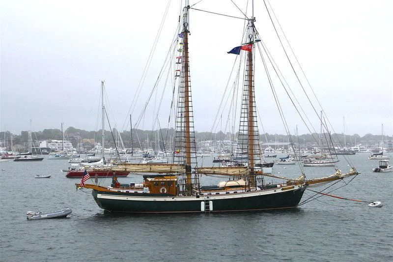 a sailboat in the water aboard TREE OF LIFE Yacht for Sale