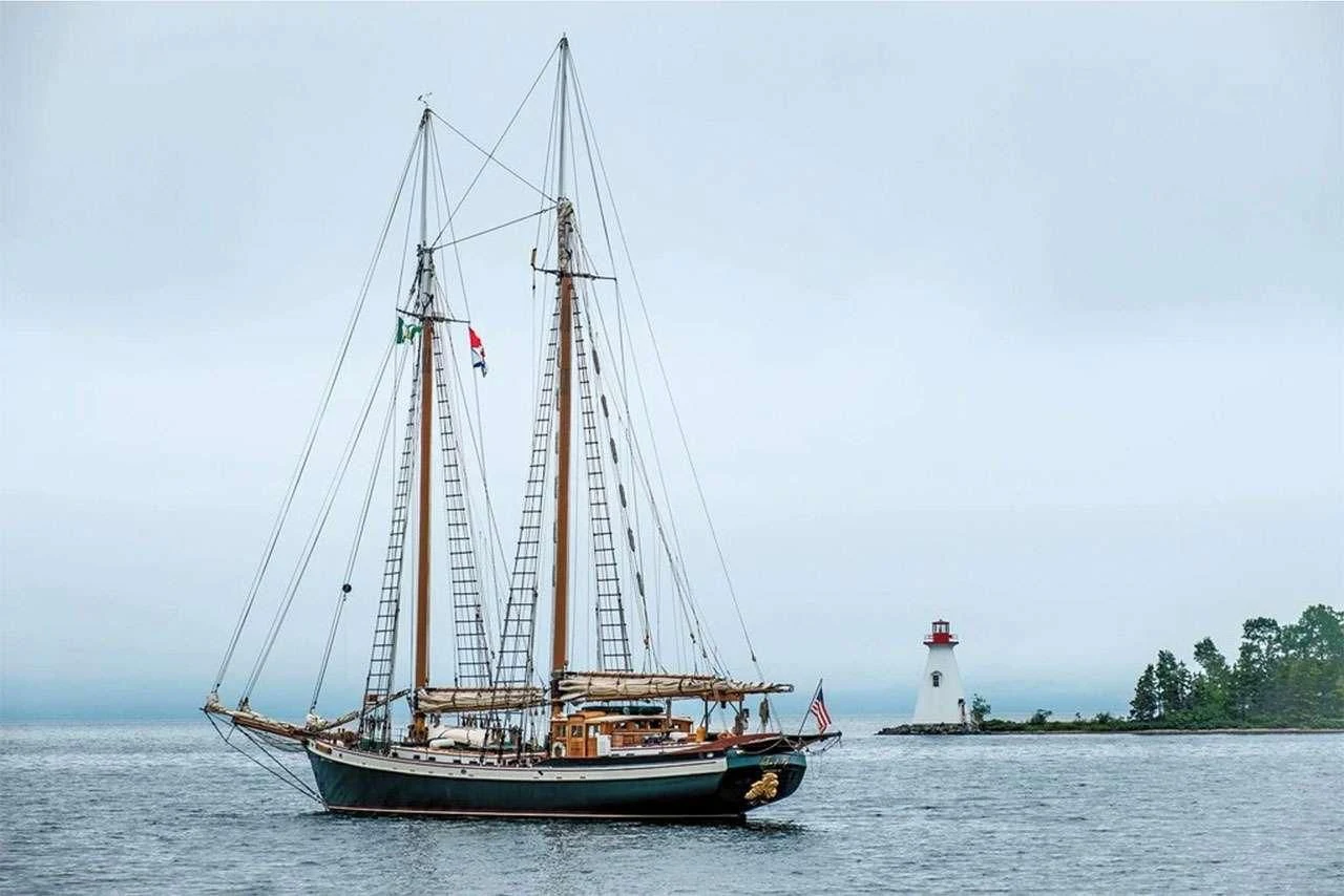a sailboat on the water aboard TREE OF LIFE Yacht for Sale