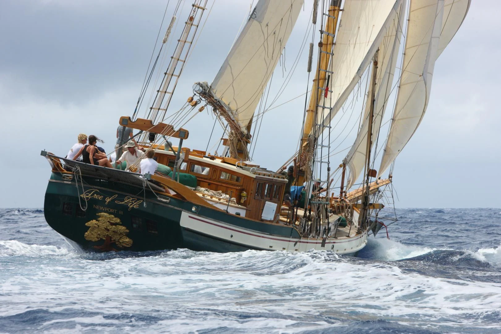 a boat sailing on the sea aboard TREE OF LIFE Yacht for Sale