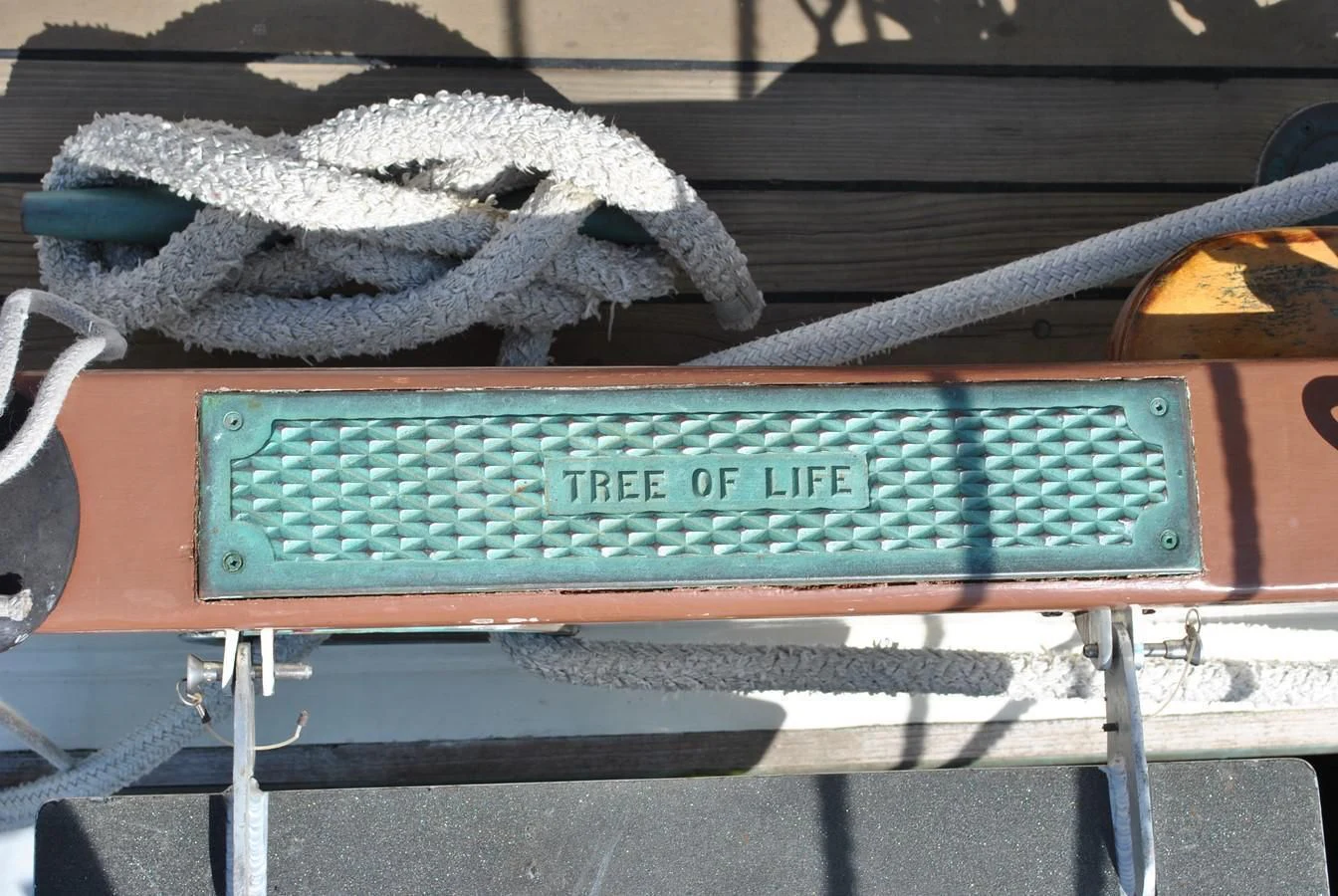 a bird on a bench aboard TREE OF LIFE Yacht for Sale