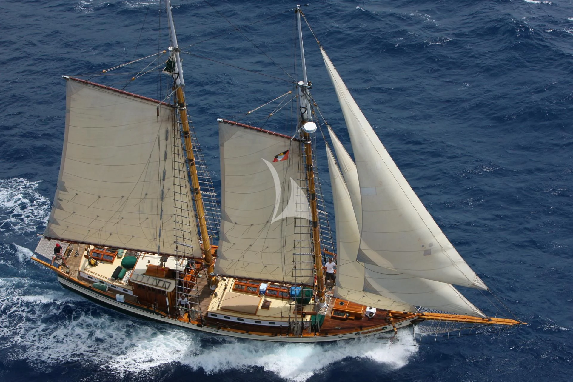 a sailboat on the water aboard TREE OF LIFE Yacht for Sale