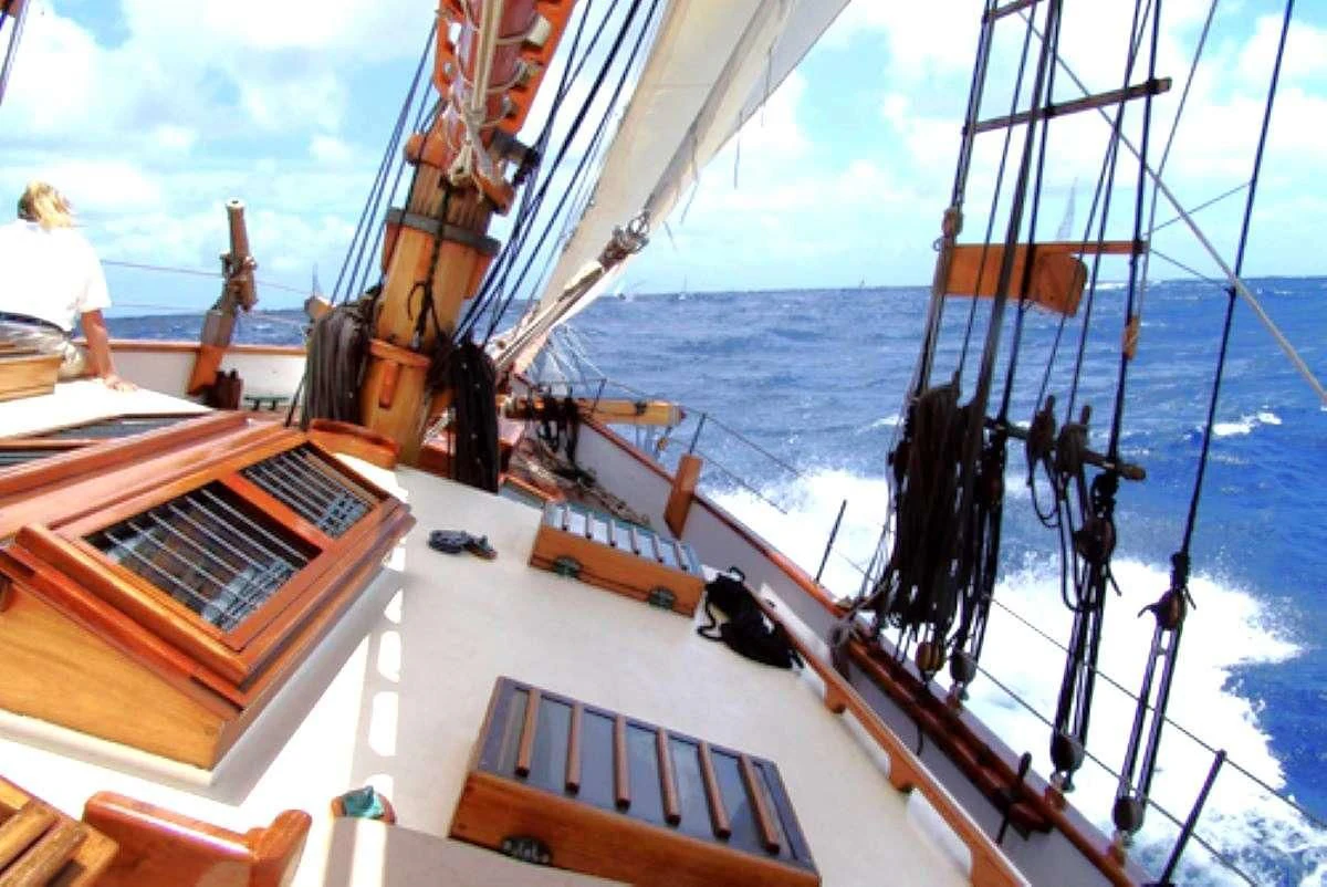 a boat with a large sail aboard TREE OF LIFE Yacht for Sale