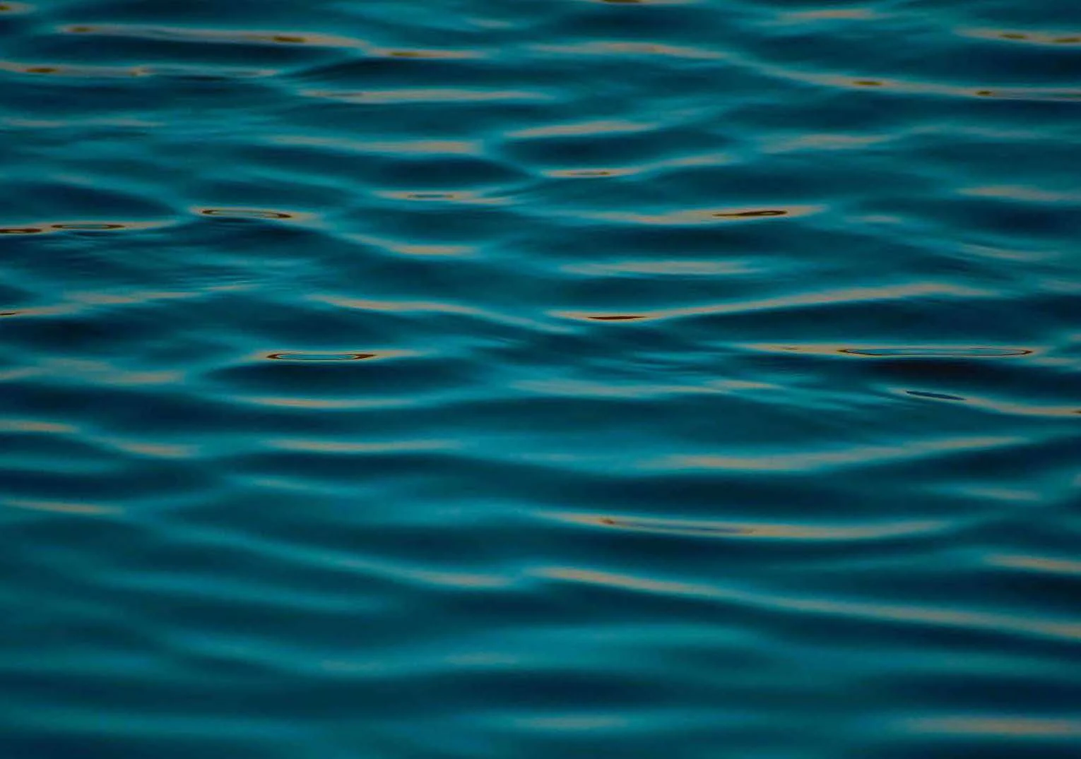 a body of water with a large body of water in the background aboard LADY B Yacht for Charter