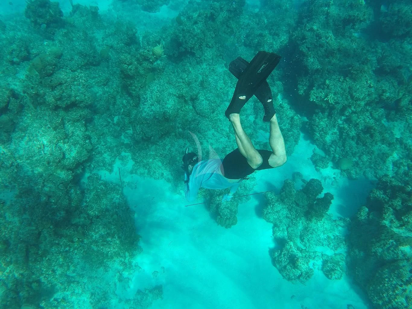 a person swimming underwater aboard BABA'S Yacht for Sale