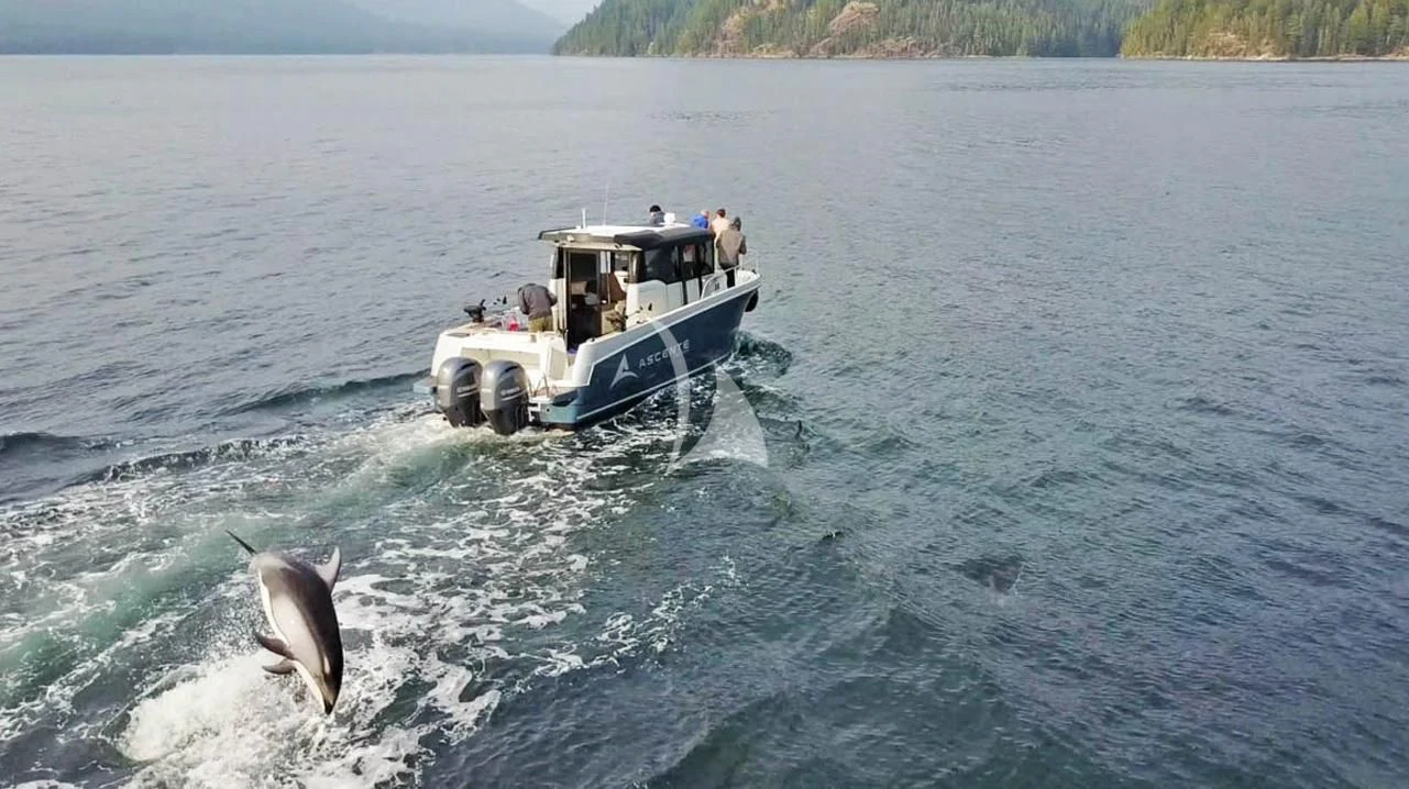 a boat with a large fish aboard ASCENTE Yacht for Charter