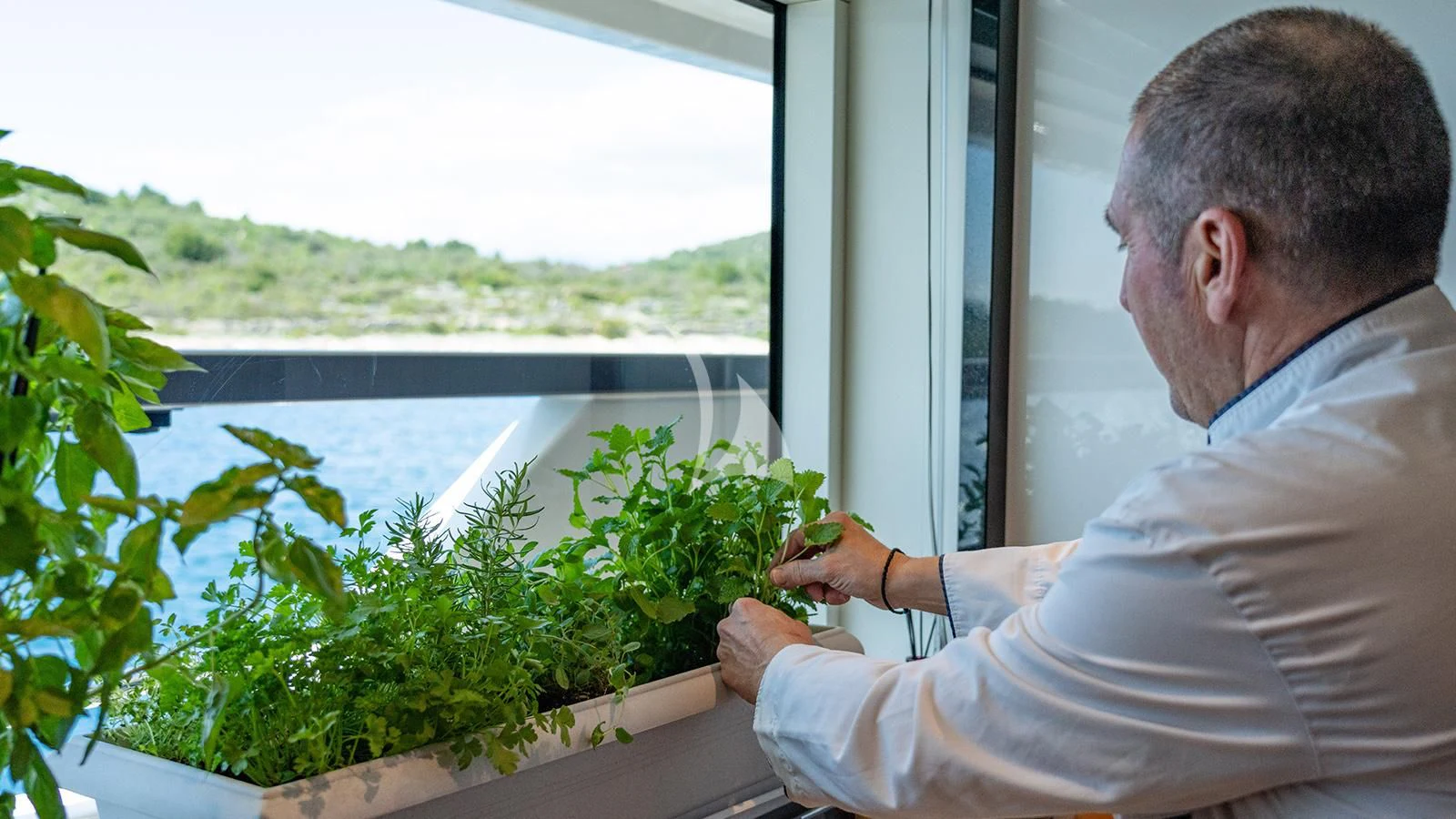 a man looking at a plant aboard JOURNEY Yacht for Sale