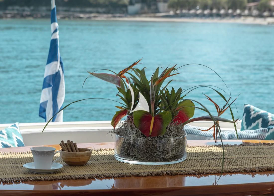 a plant in a pot on a table by the ocean aboard MANU Yacht for Charter