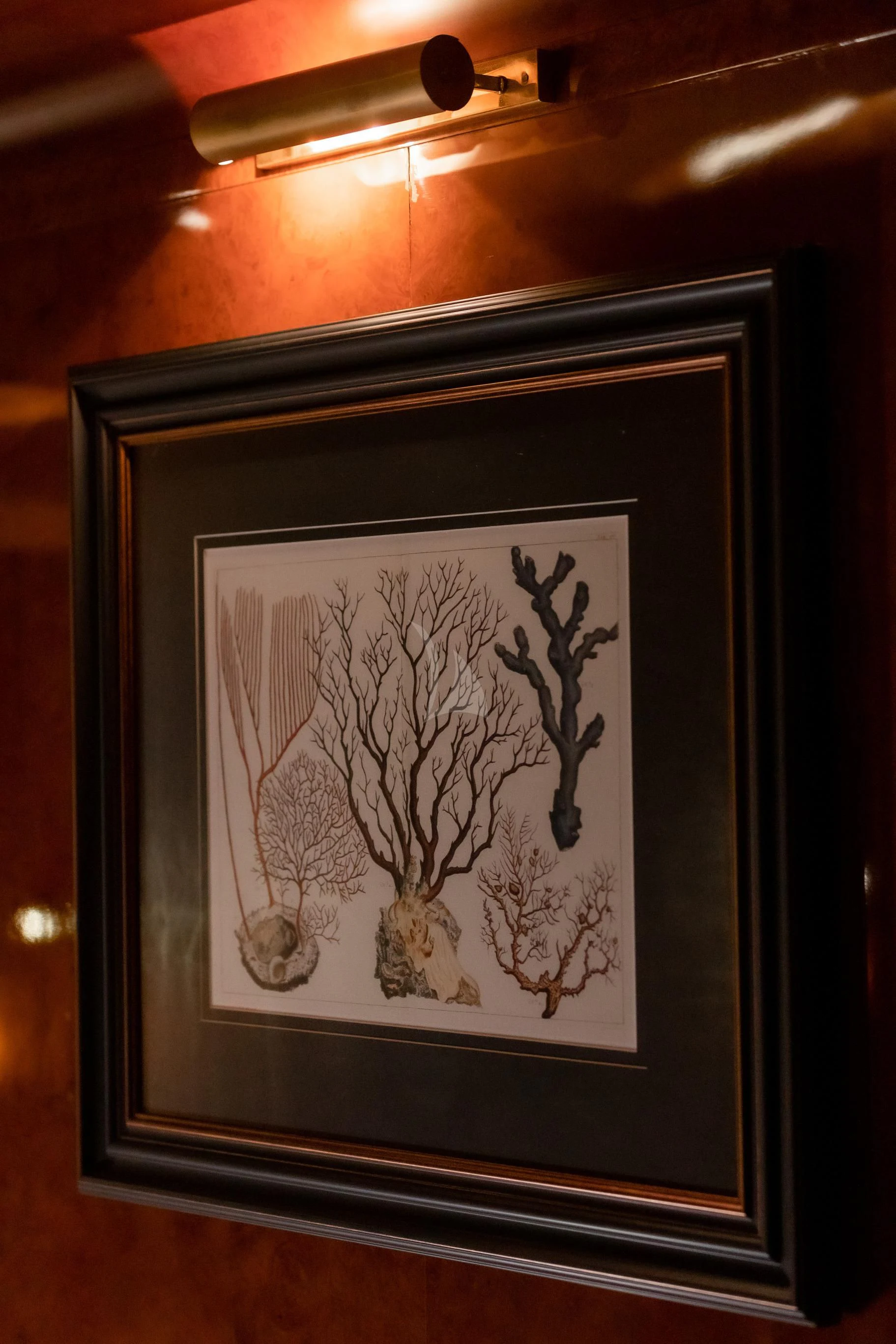 a framed picture on a wall aboard AQUA MARE Yacht for Sale