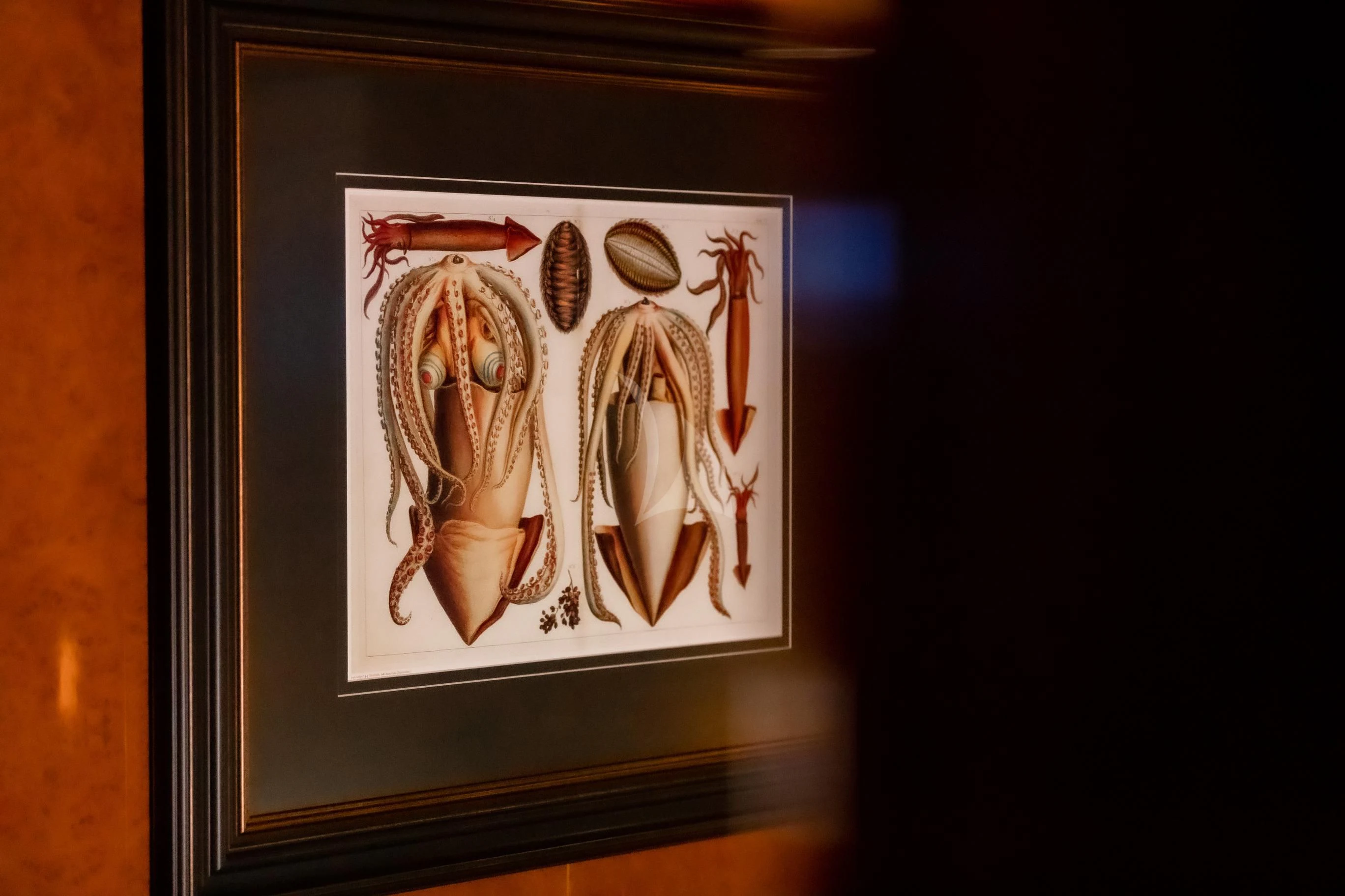 a framed picture of a horse aboard AQUA MARE Yacht for Sale