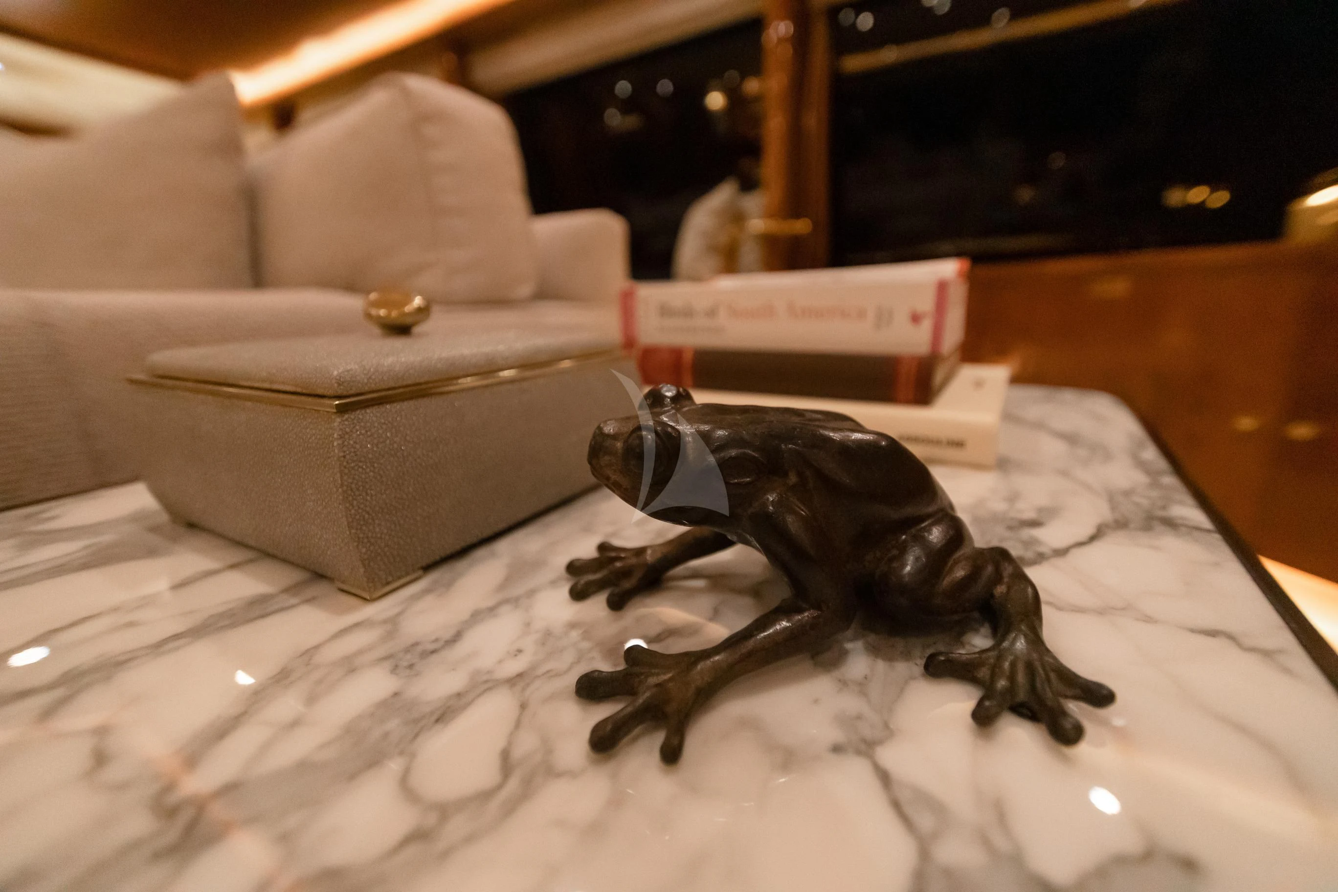 a black lizard on a table aboard AQUA MARE Yacht for Sale