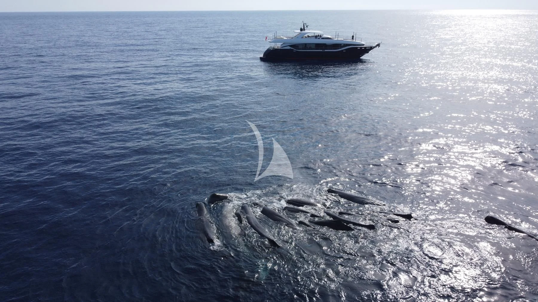 a ship in the ocean aboard EDEN Yacht for Sale