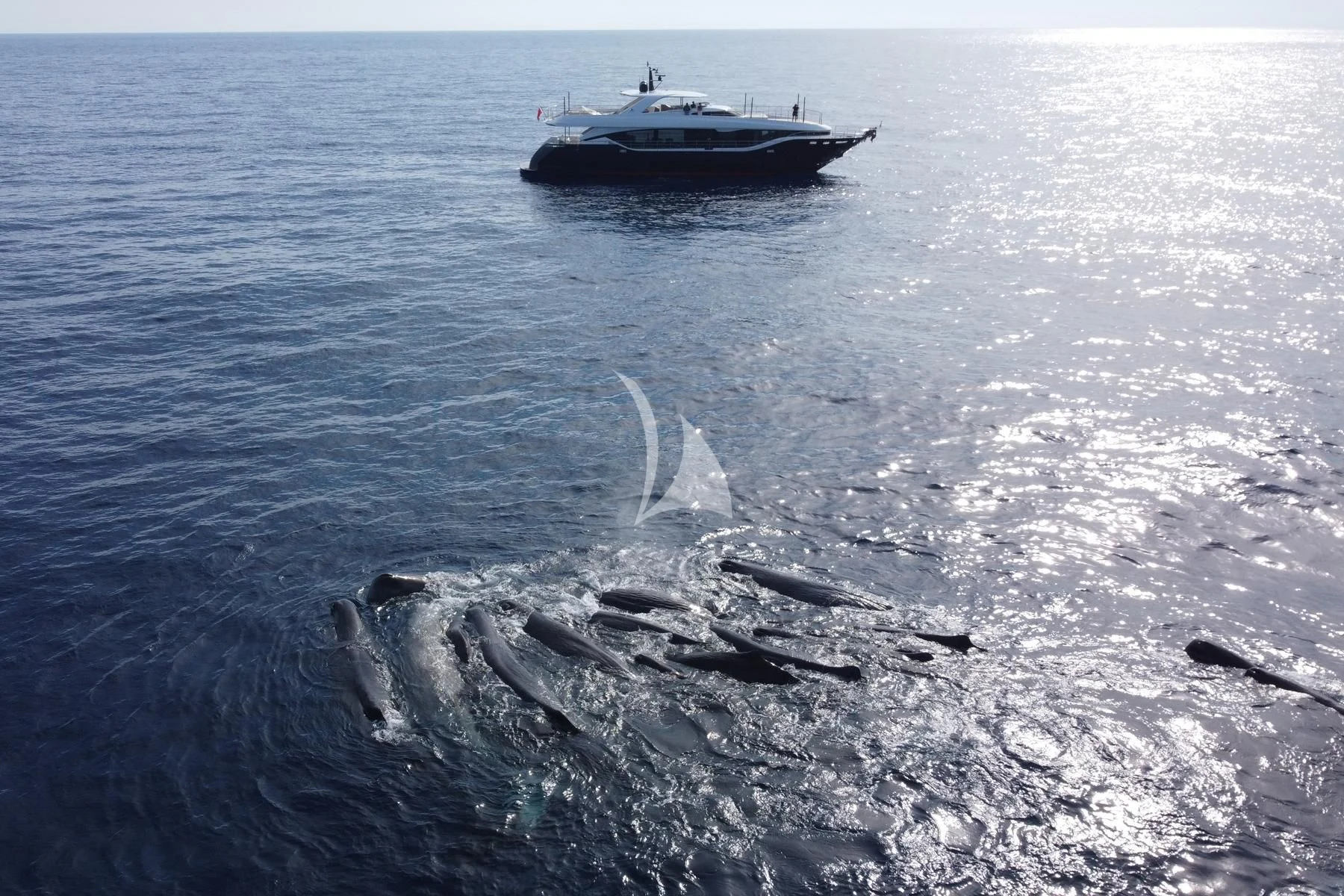 a boat in the water aboard EDEN Yacht for Sale