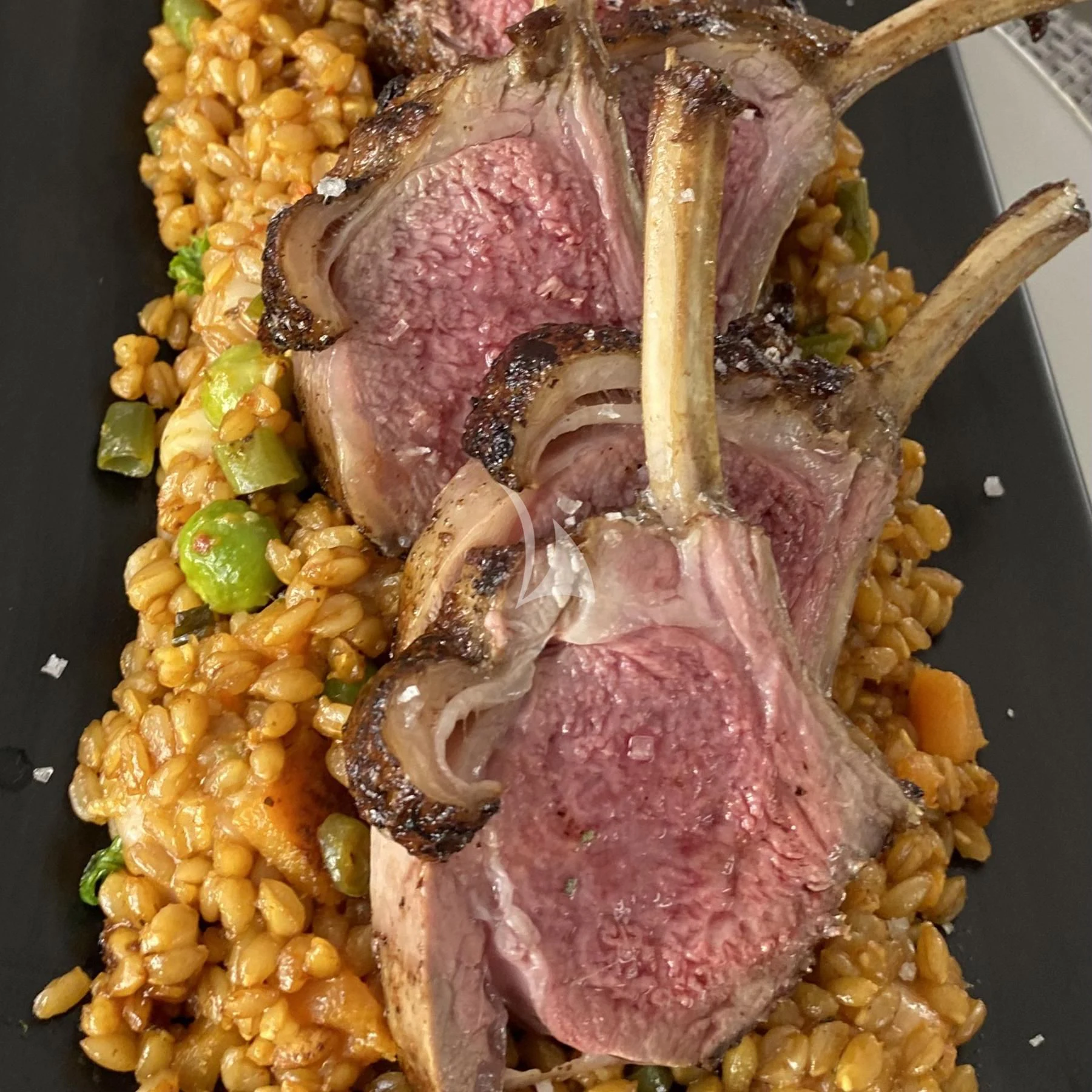 a lobster in a bucket aboard EDEN Yacht for Sale