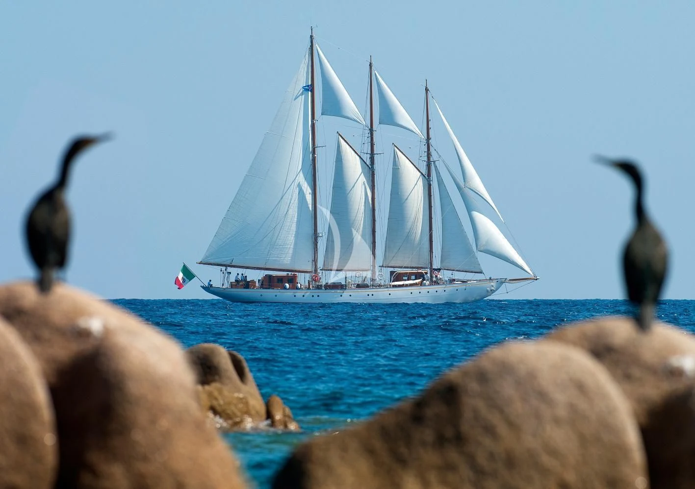 a boat with a sail on the water aboard CROCE DEL SUD Yacht for Sale