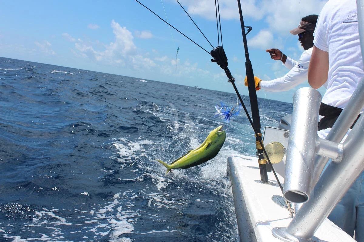 a man holding a fish aboard LE MONTRACHET Yacht for Sale
