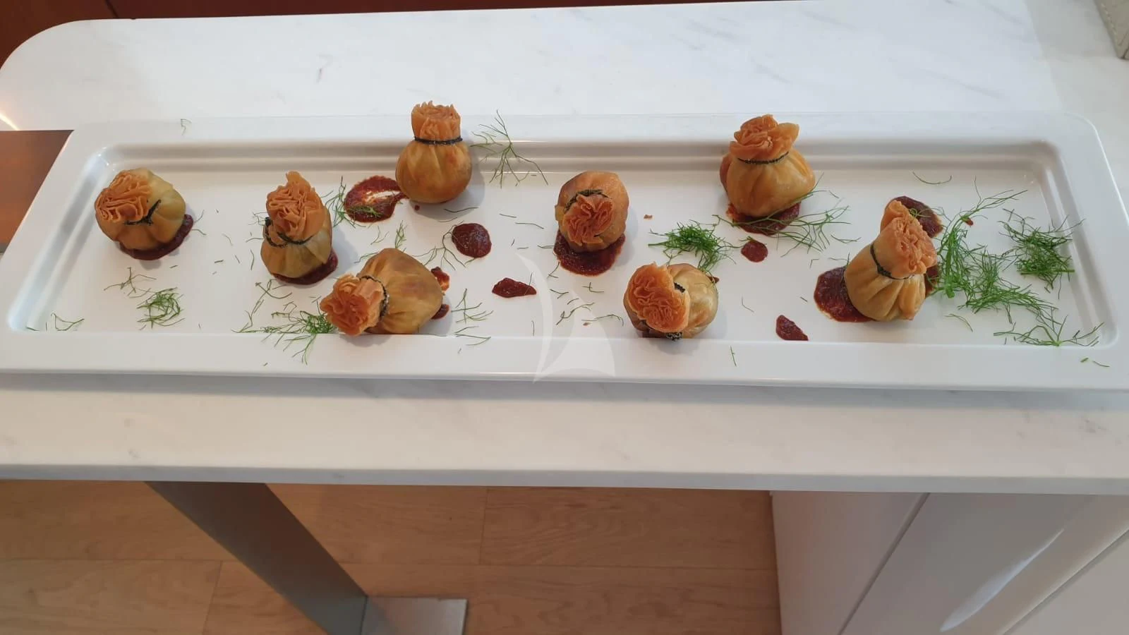 a group of brown and white shells on a white surface aboard FUNSEA Yacht for Sale