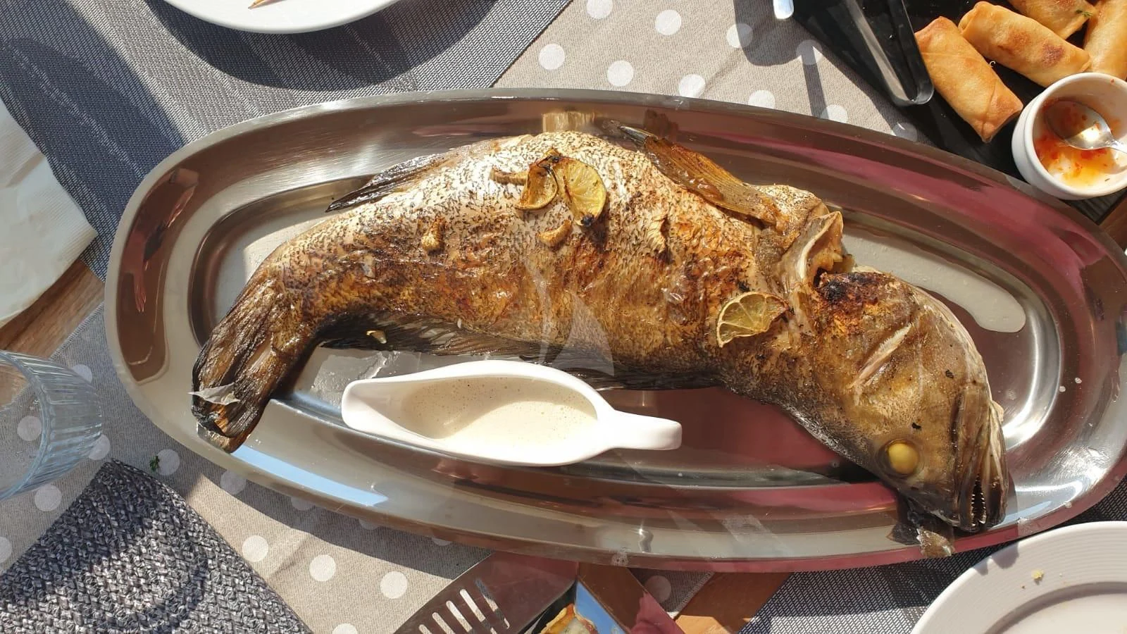 a fish on a plate aboard FUNSEA Yacht for Sale