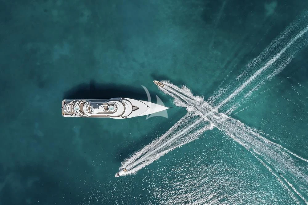 a shark swimming in the water aboard EXCELLENCE Yacht for Sale