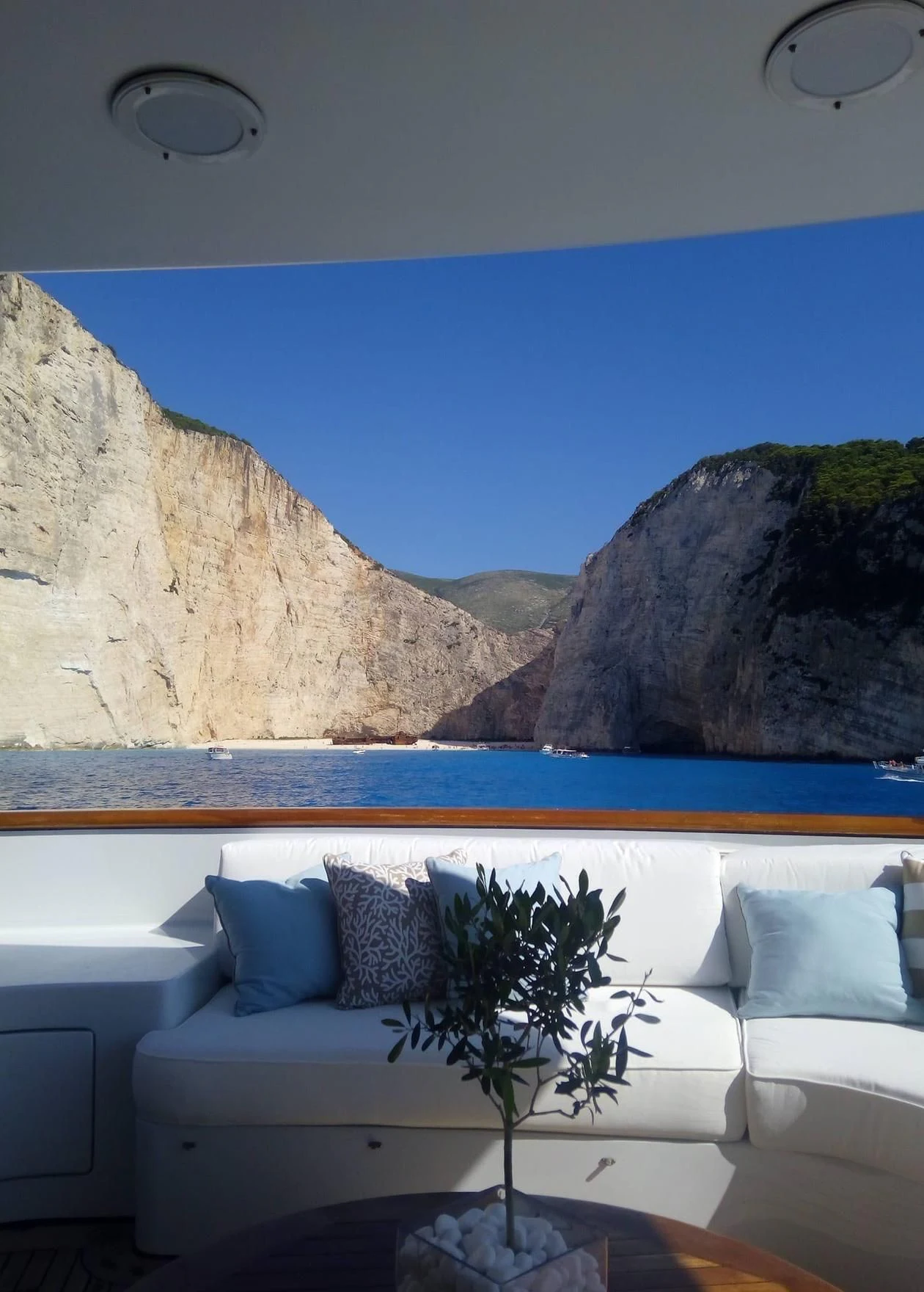 a plant in a pot on a couch aboard AZUL V Yacht for Charter