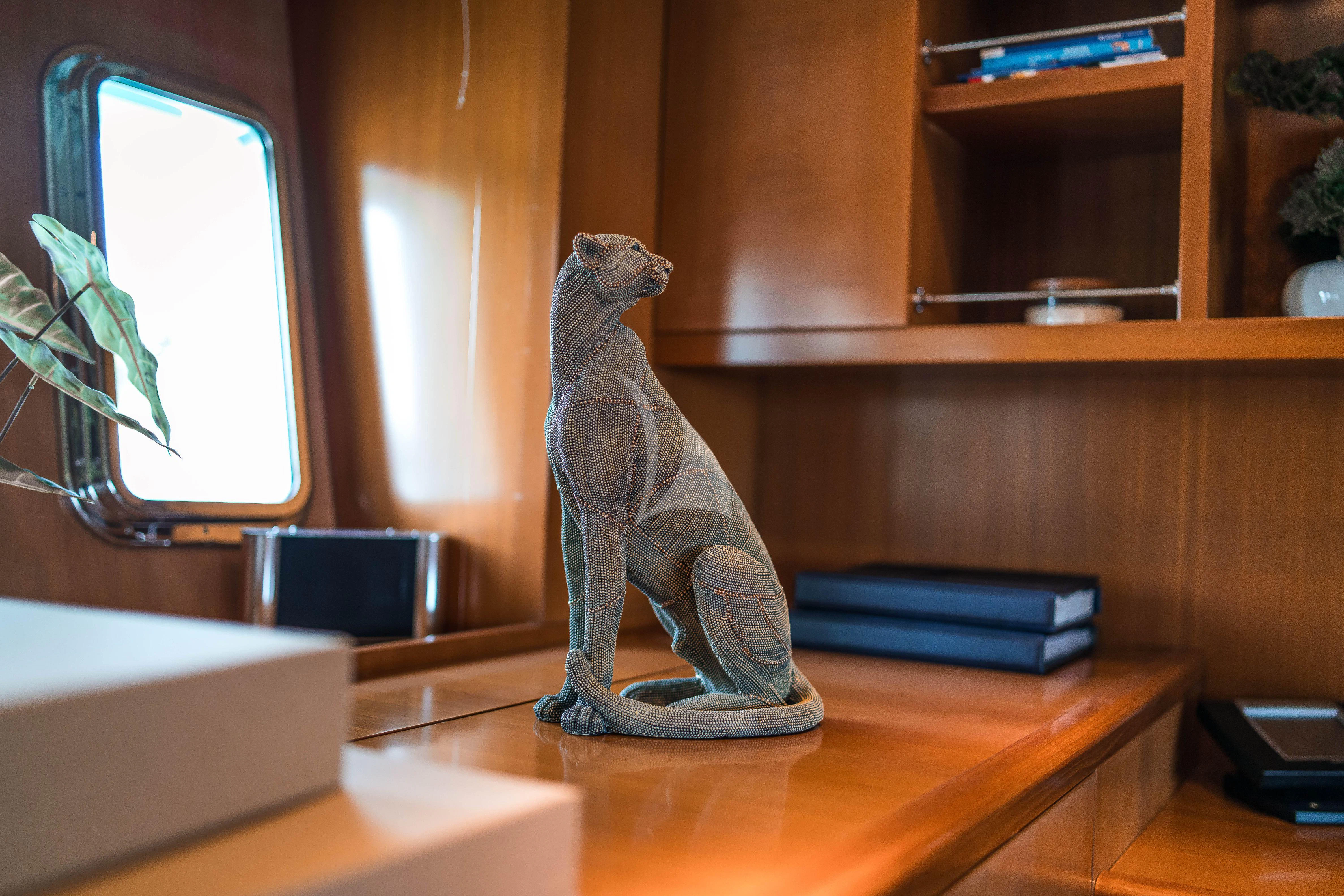 a lizard on a desk aboard TOBEKA Yacht for Sale