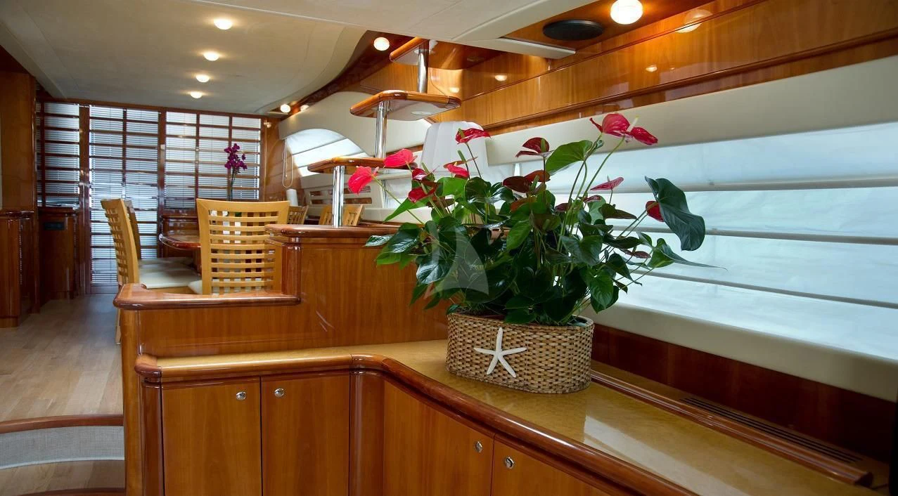 a plant on a counter aboard PAMPERO Yacht for Charter