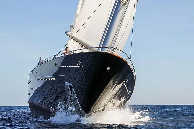 a large whale jumping out of the water aboard MALTESE FALCON Yacht for Sale
