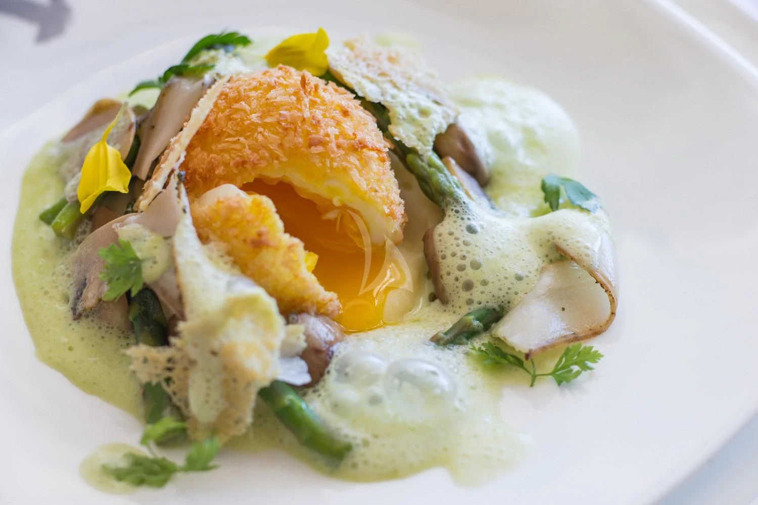 a plate of food aboard MALTESE FALCON Yacht for Sale