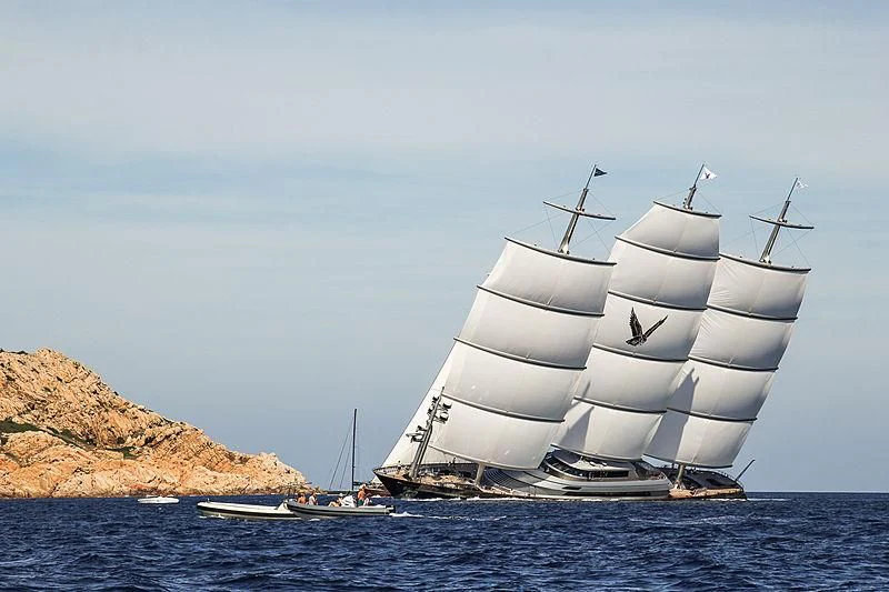 a boat with a group of birds on it aboard MALTESE FALCON Yacht for Sale