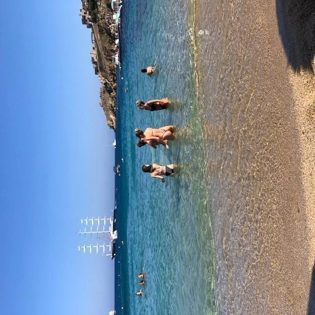 a group of birds on a fence aboard MALTESE FALCON Yacht for Sale