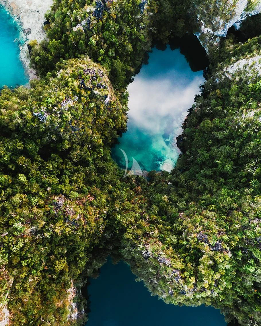 a body of water surrounded by green plants aboard AQUA BLU Yacht for Sale
