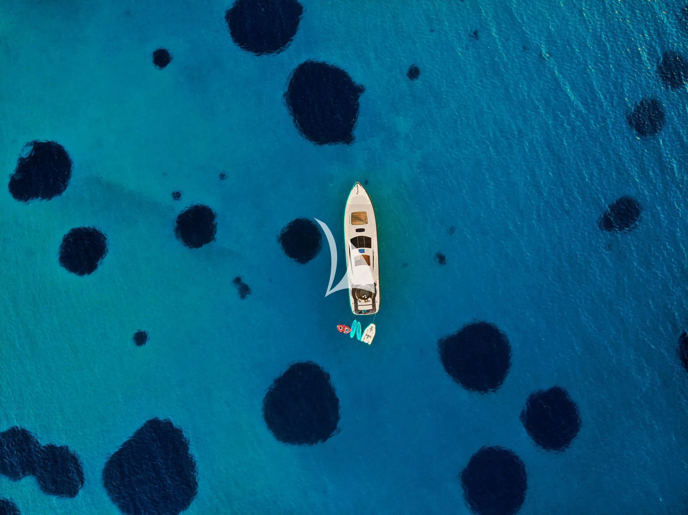 a blue and white underwater scene aboard SEA U Yacht for Charter