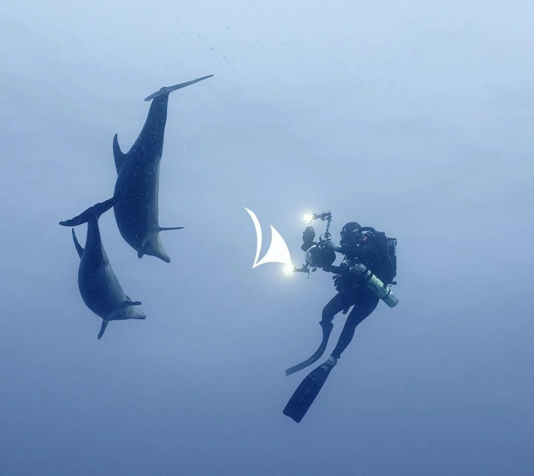 a person diving with a sword aboard GAME CHANGER Yacht for Sale