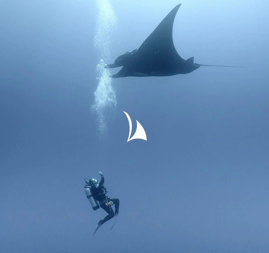 a shark and a couple of people in the water aboard GAME CHANGER Yacht for Sale