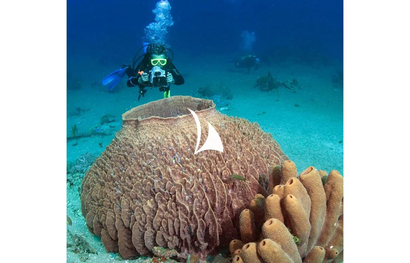 a scuba diver in a tank aboard GAME CHANGER Yacht for Sale