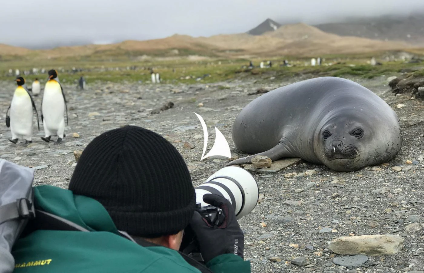 a person looking at a sea animal aboard GAME CHANGER Yacht for Sale