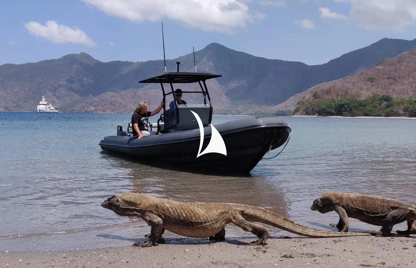 a couple of people and a sea lion on a beach with a boat in the water aboard GAME CHANGER Yacht for Sale